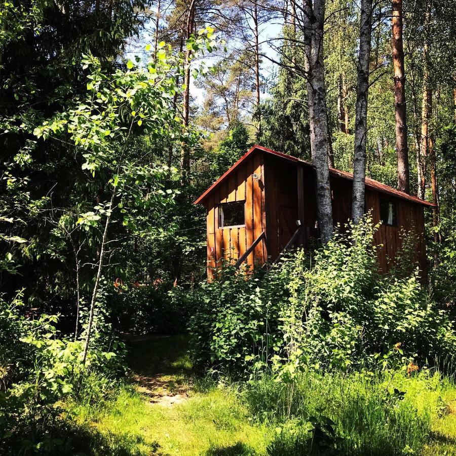 Nature Retreat "Upes Dizvietas" Krāslava 외부 사진